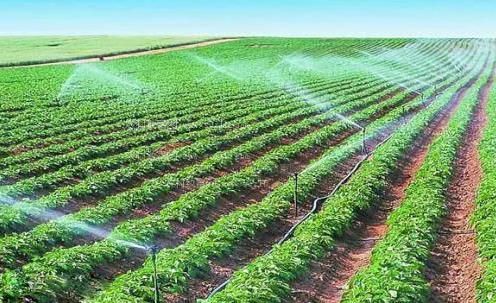 日批视频免费观看农田高 效节水灌溉
